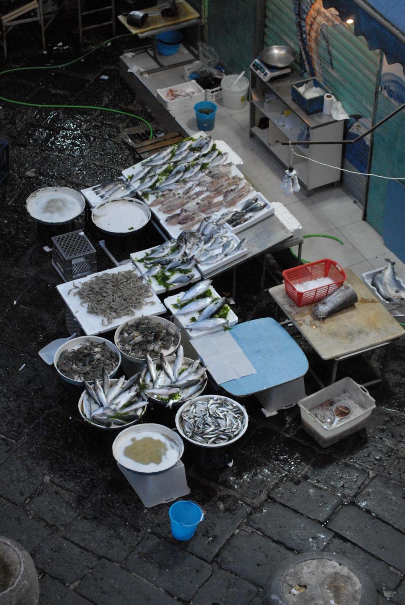Bed & Breakfast Spaccanapoli 56 ภายนอก รูปภาพ